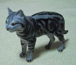 �o�ꓮ���Љ�