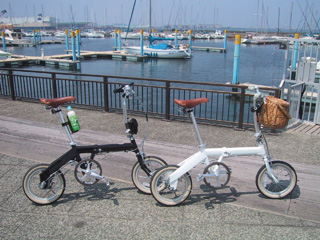 �u���W���A�ȕ��X�̓��b�g�V�тɋ����Ă���̂��A�w�ǂ̑D���o�����Ă���܂���