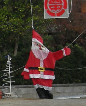 ���D�Y���T���^����